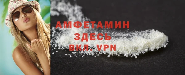 PSILOCYBIN Белокуриха
