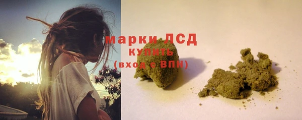 PSILOCYBIN Белокуриха