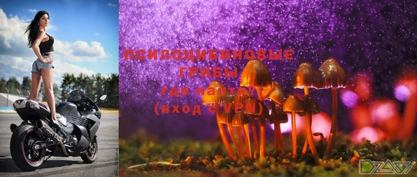 PSILOCYBIN Белокуриха
