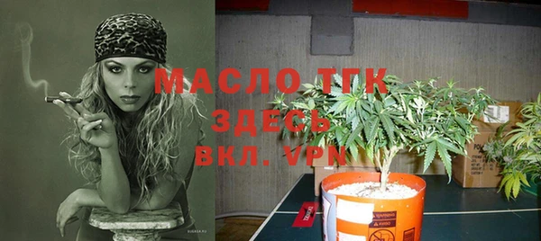 PSILOCYBIN Белокуриха