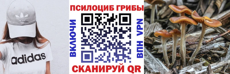 Псилоцибиновые грибы MAGIC MUSHROOMS  Игра 