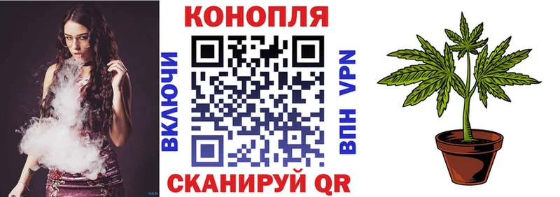 Каннабис марихуана  что такое   Игра 